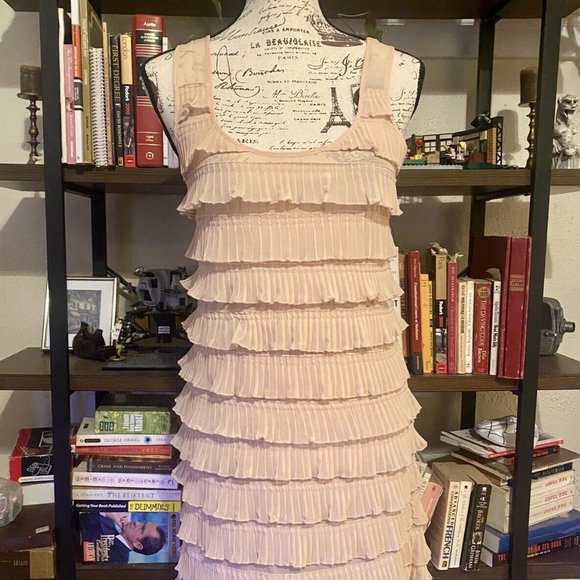 Retro Blush-Colored H&M 1920s Flapper-Style Dress - Picture 4 of 6